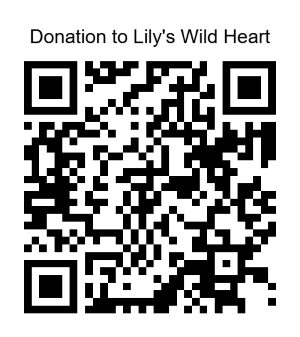 QR code to donate to Lily's Wild Heart